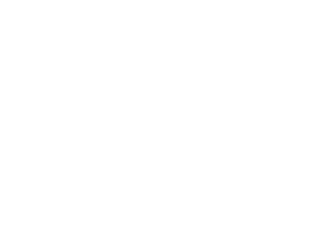 Mint.io