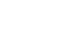 Mint.io