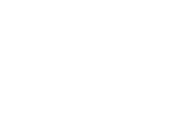 Mint.io