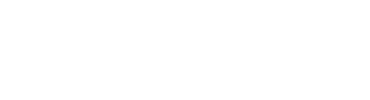 Mint.io