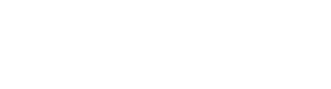Mint.io